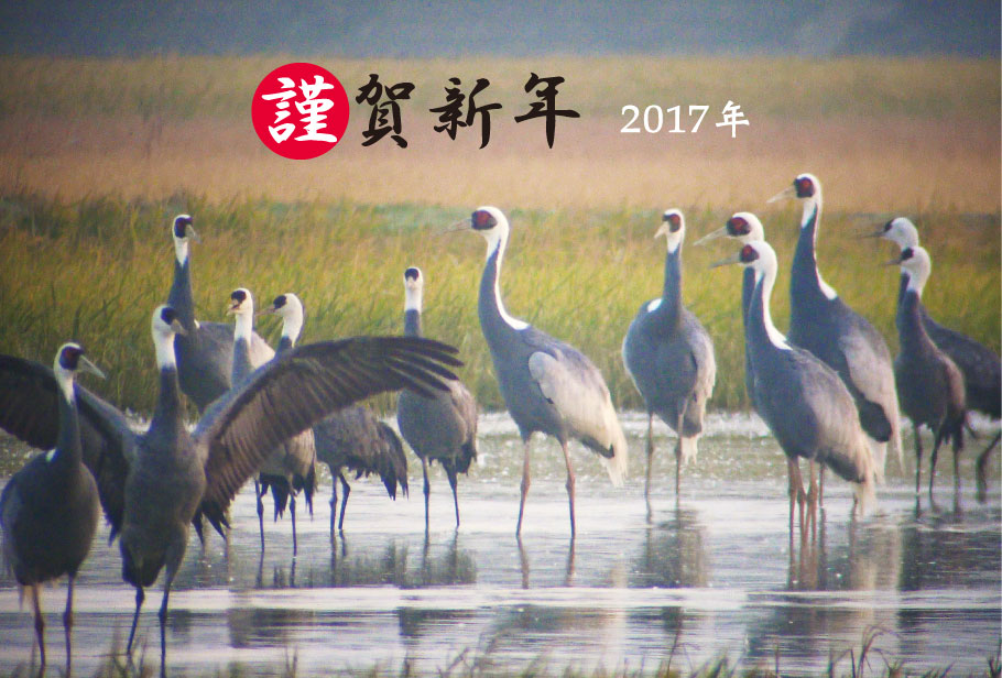 2017年・謹賀新年